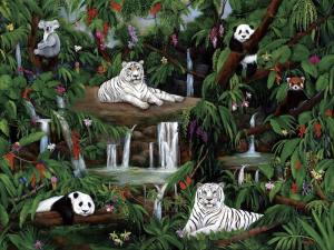 white tigers, koala, pandas rain forest, wildlife, waterfalls, jungle animals