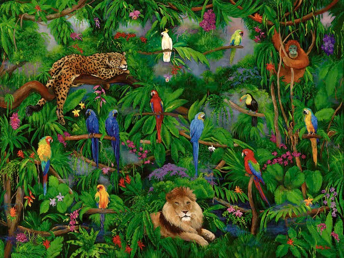 macaws, toucans, cockatoos,, rain forest, lion, wildlife, jungle animals 