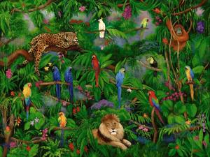 macaws, toucans, cockatoos,, rain forest, lion, wildlife, jungle animals 