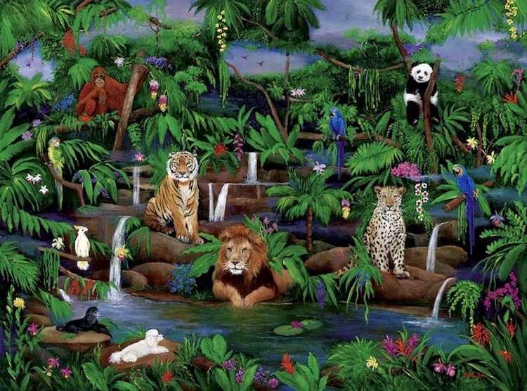 Jungle, wildlife, lion, orangutans, cheetah, poodles, tropical birds